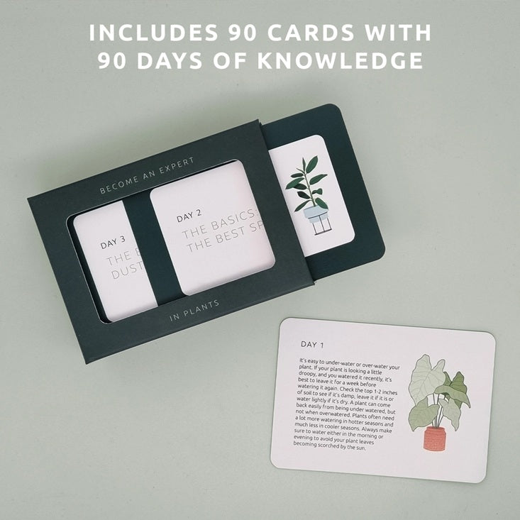 Plant facts deck - Become an expert in 90 days!