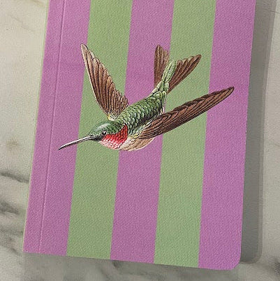Striped Hummingbird Paperback Notebook (A6)