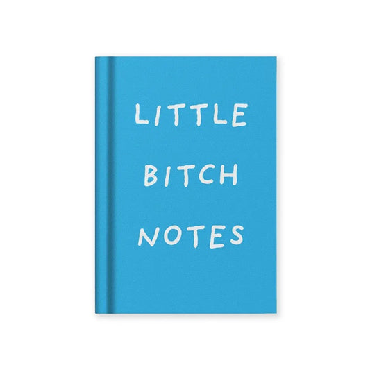 Little bitch notes - mini notebook
