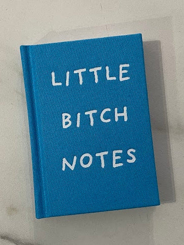 Blue book titled 'LITTLE BITCH NOTES' on a marble surface