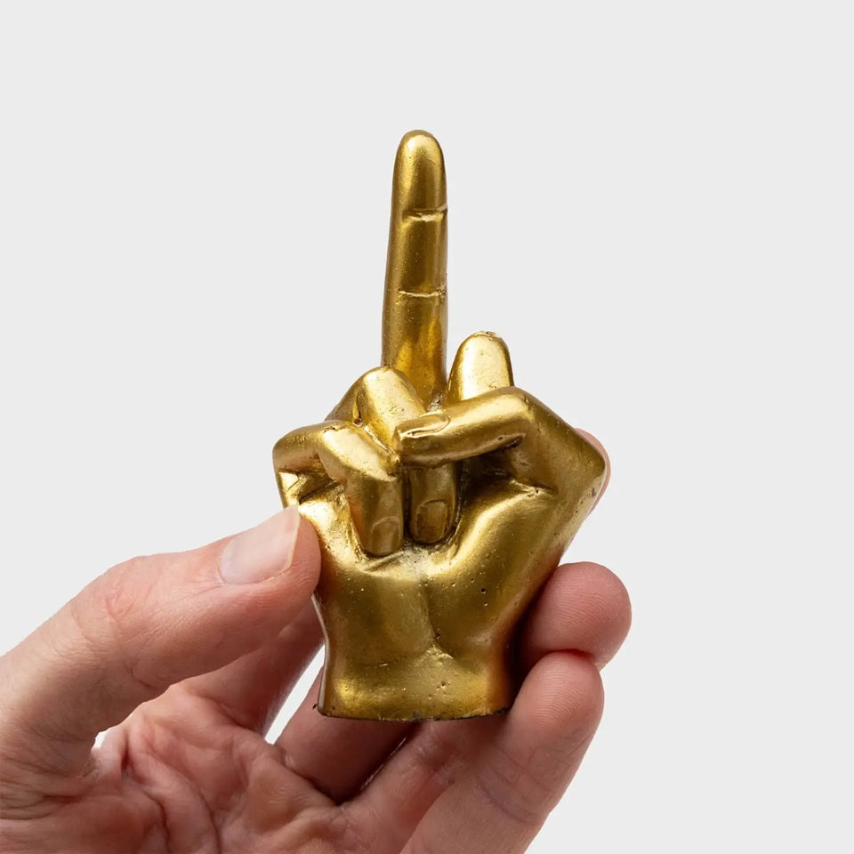 Screw you small gesture middle finger